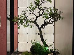 -湘上湘(正大中心总店)