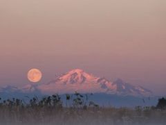 -My Way Town买味堂·东南亚餐厅(亦庄店)