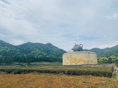 -龙坞茶村