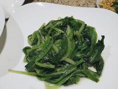 蒜蓉油麦菜-长安壹号