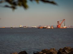 -上海滨江森林公园