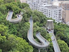 -福道