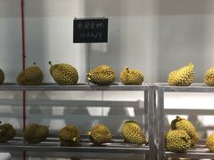 -鲜果壹号(中央景城店)