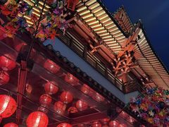 -新加坡佛牙寺龙华院