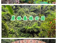 -西双版纳原始森林公园