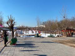 -北京鹿世界主题园