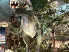 -湖南省地质博物馆