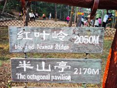 -北京西山国家森林公园