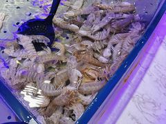 -澜悦港海鲜体验主题餐厅
