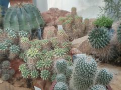 -国家植物园南园