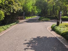 -绍兴镜湖国家城市湿地公园