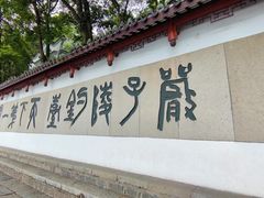 -严子陵钓台(富春江小三峡)