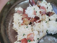 -鸽小宝(深圳首店)