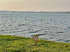 -丁香湖公园