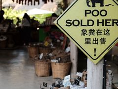 -大象粑粑造纸公园