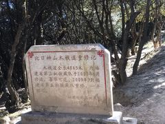 -比日神山