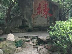 -杭州黄龙洞
