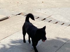 -MAX伯爵趣味互动密室逃脱(大坪D馆店)