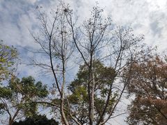 -中国移动南方基地