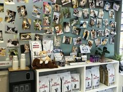 -爱妮康宠物医院·干细胞免疫细胞·肿瘤·心脏(张江店)