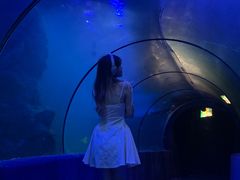 -左海海底世界