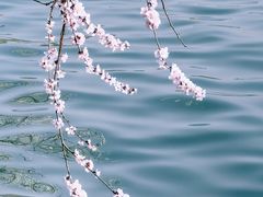 -颐和园