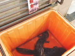 -荔城生鲜盛宴(番禺旗舰店)