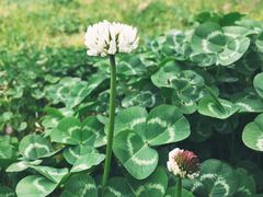 -艾溪湖湿地公园