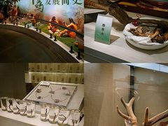 -广东中医药博物馆