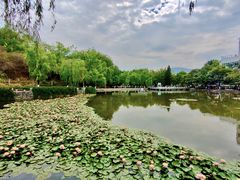 -攀枝花公园