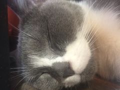 -MIKAKU(万达广场上海宝山店)