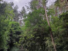 -梦姑塘文化公园