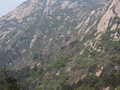 -鲁山国家森林公园