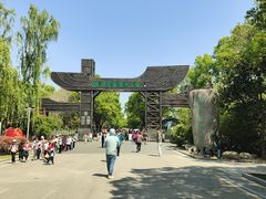 -溱湖国家湿地公园