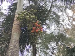 -万尾金滩