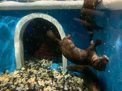 -成都浩海立方海洋公园