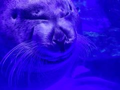-上海海昌海洋公园