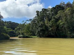 -热带雨林自然公园