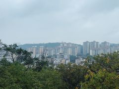 -佛山华盖山公园