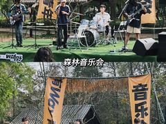 -南宁良凤江国家森林公园