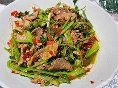 香菜炒牛肉-壹盏灯(蚂蚁工房店)