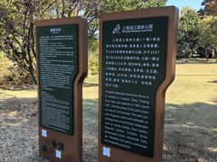 -上海滨江森林公园