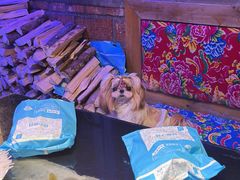 -鱼窝棚柴火铁锅炖(富山屯店)