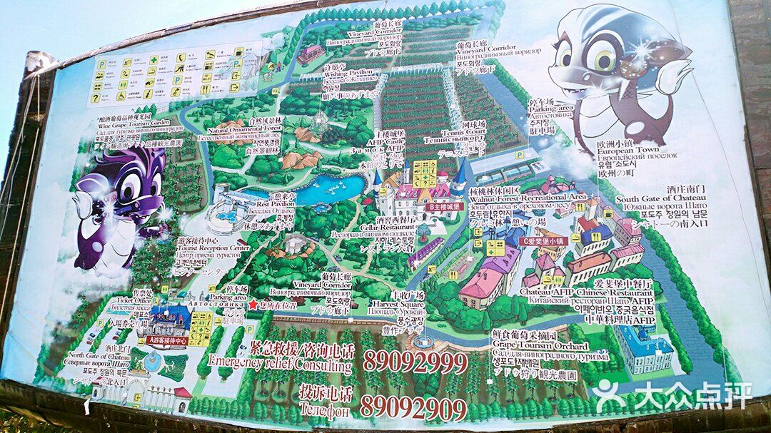 北京张裕爱斐堡国际酒庄