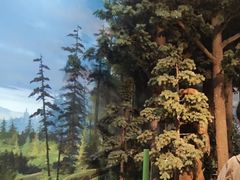 -陕西自然博物馆