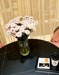 -海菲秀黑钻·SELF SKIN悦己·Tech SPA