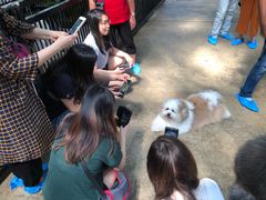-TrueLove @ Neverland (Husky Cafe)