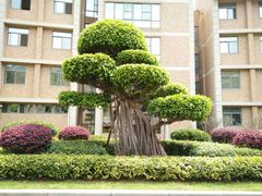 -厦门国家会计学院