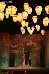 -三色锦婚礼定制