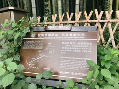 -杭州黄龙洞